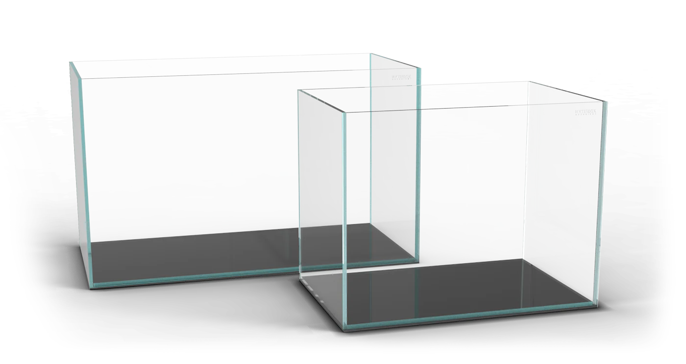 Ultra Clear Aquarium